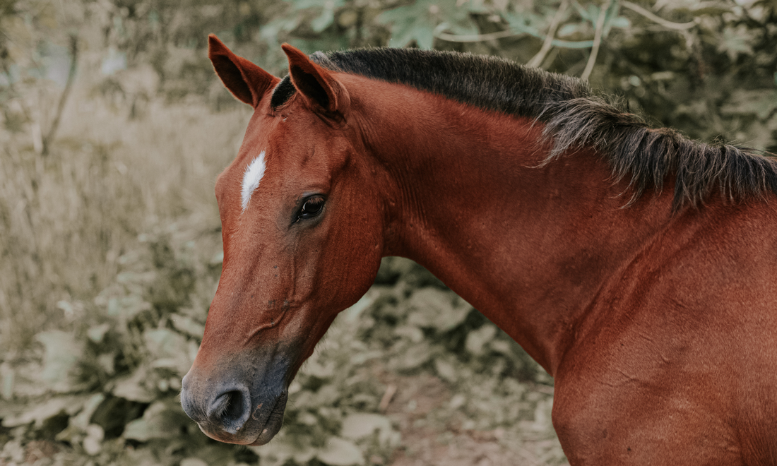 January and contemplation